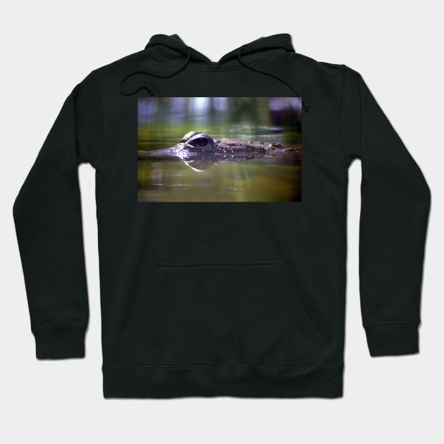 Crocodile in View Hoodie by jwwallace